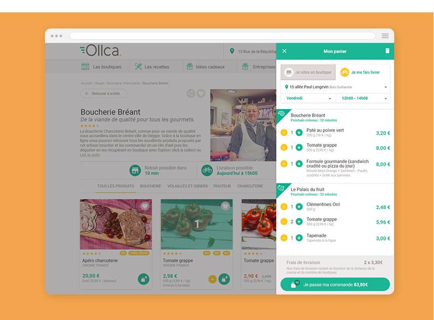 Ollca Identité visuelle - webdesign - Direction artistique - Camille Labory