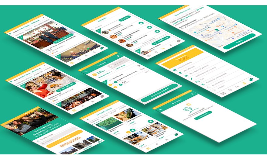 Ollca Identité visuelle - webdesign - Direction artistique - Camille Labory